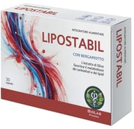 LIPOSTABIL 30 CAPSULE DA 500 MG SENZA GLUTINE SENZA LATTOSIO