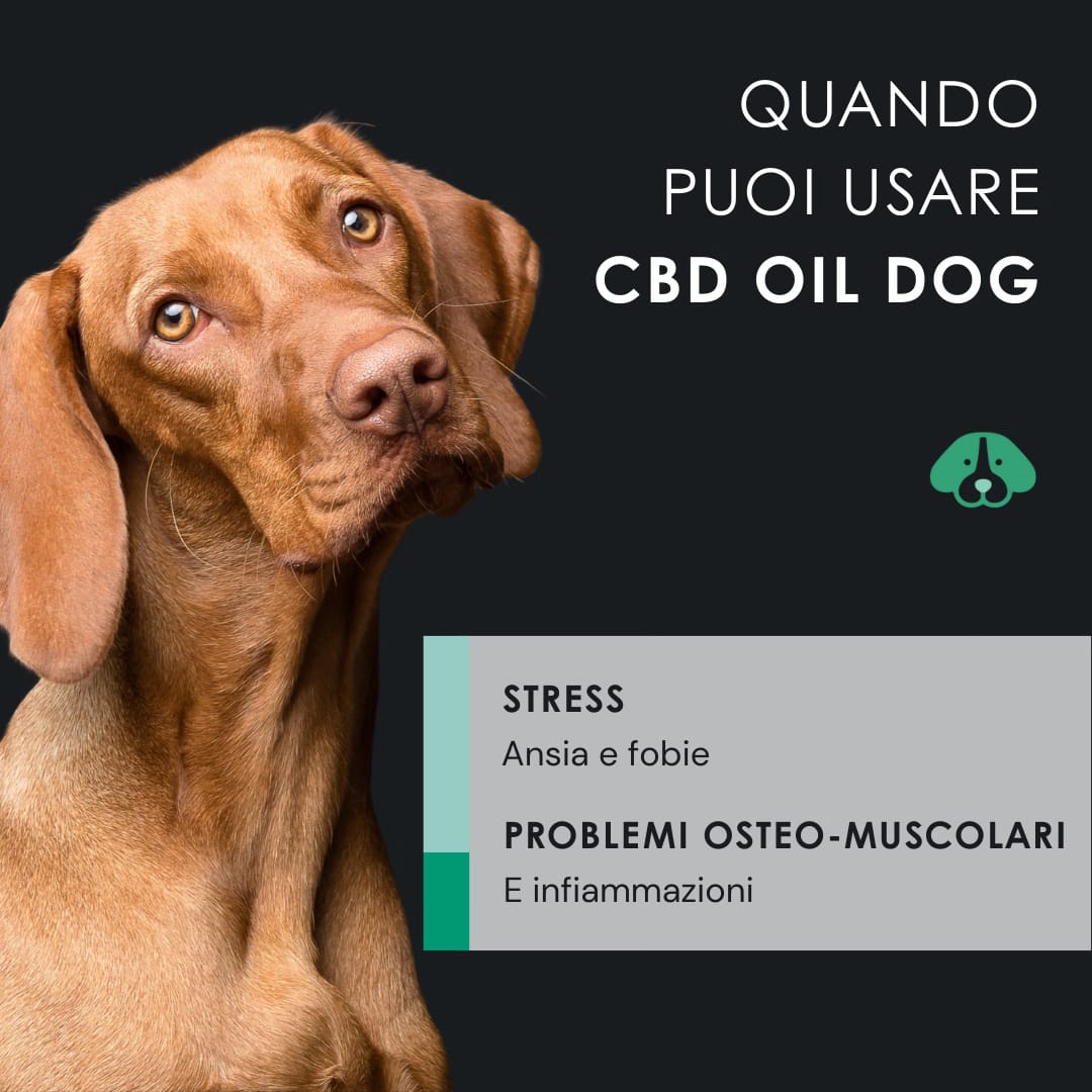 Eusphera CBD OIL DOG - Olio rilassante per cane