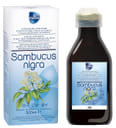 SAMBUCUS NIGRA 500 ML SENZA GLUTINE E LATTOSIO
