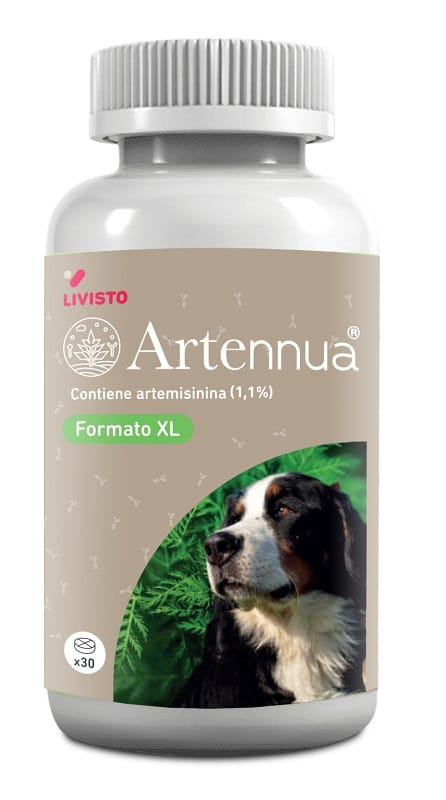 ARTENNUA XL 30 COMPRESSE