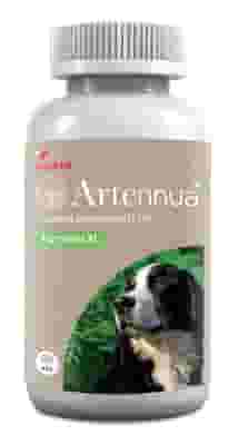 ARTENNUA XL 30 COMPRESSE