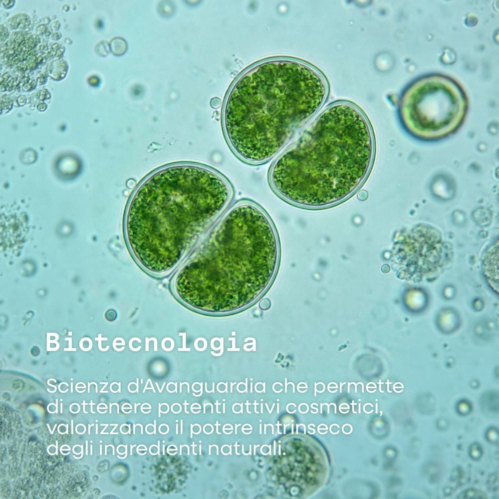 OMIA BIOTECH CREMA VISO RIMPOLPANTE 50 ML