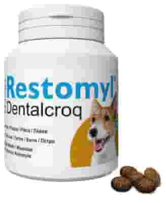 RESTOMYL DENTRALCROQ CANE 60 G