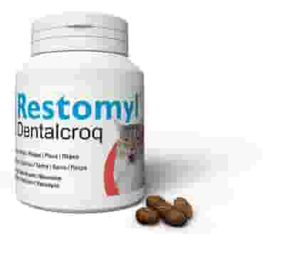 RESTOMYL DENTRALCROQ GATTO 60 G